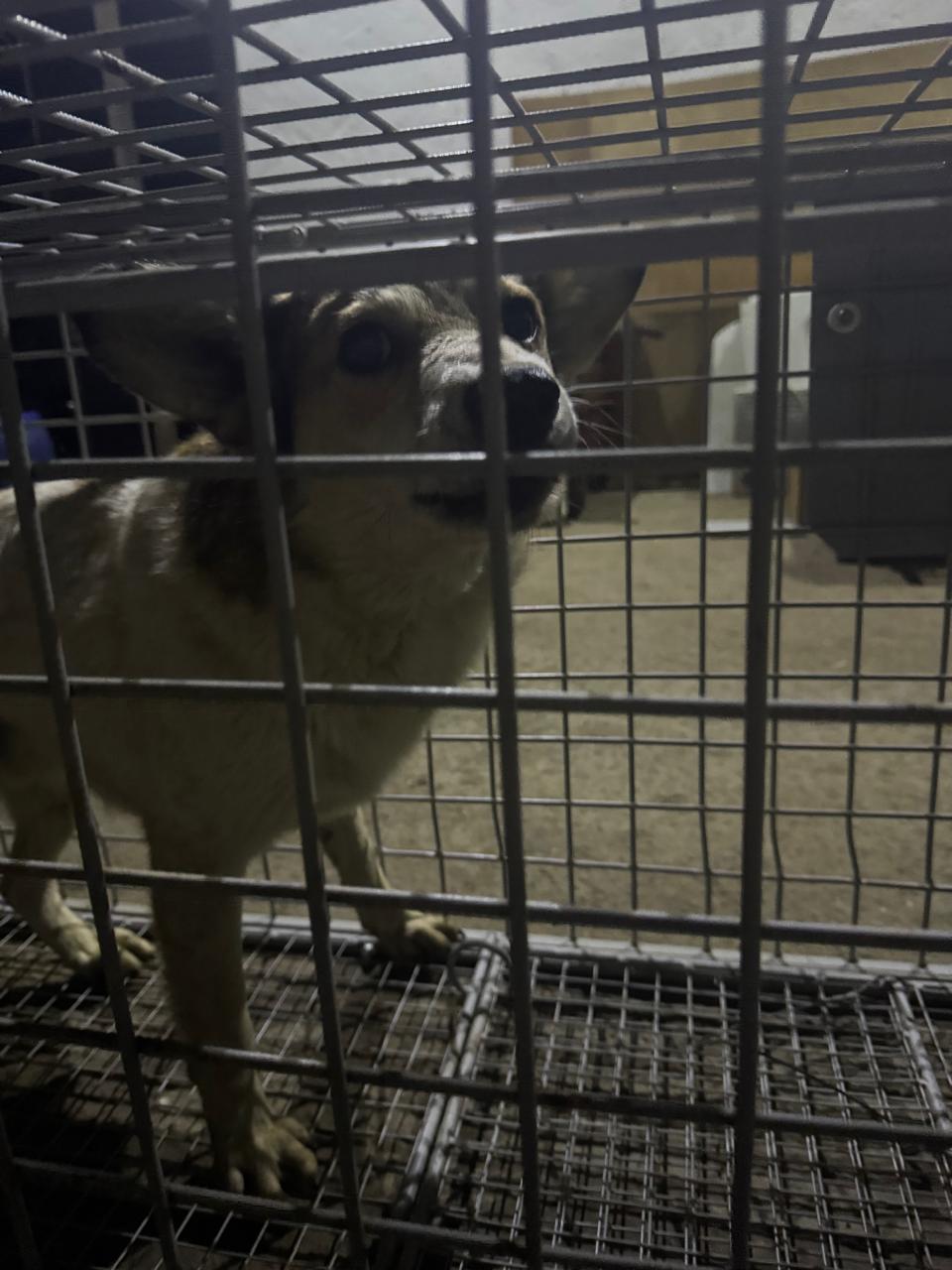 Газовиков 16