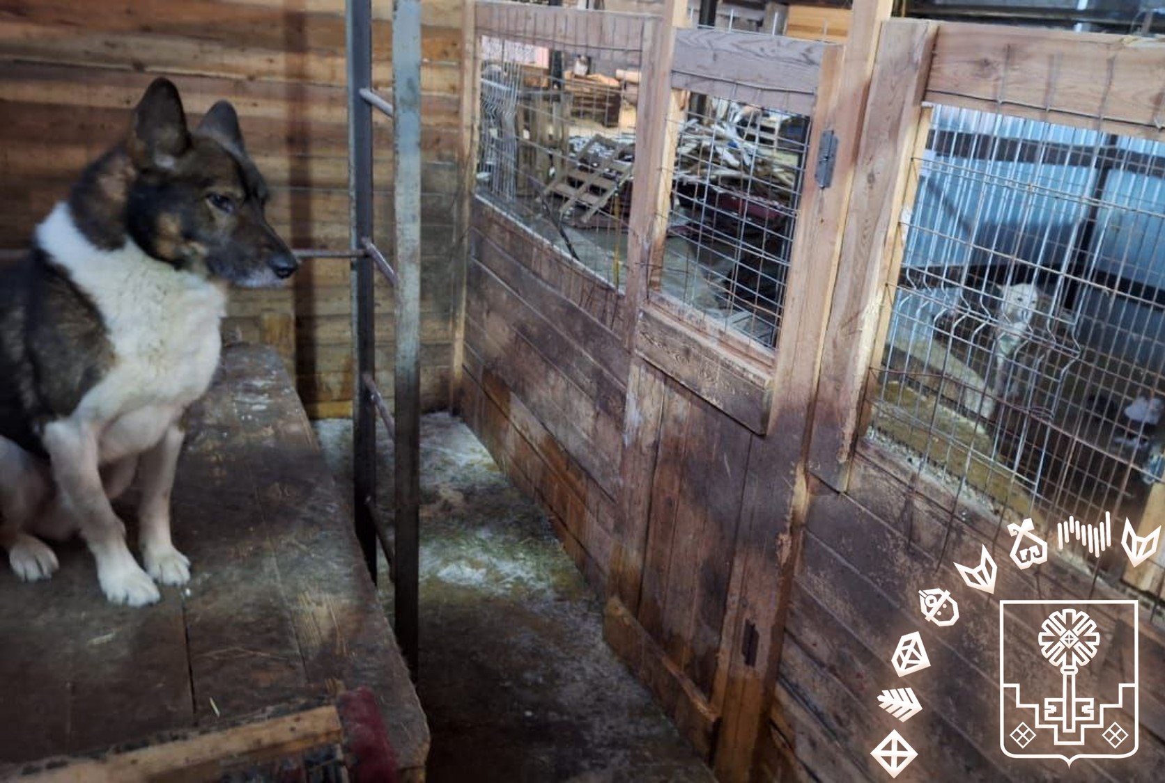 Вопрос с хвостом одним отловом не решить