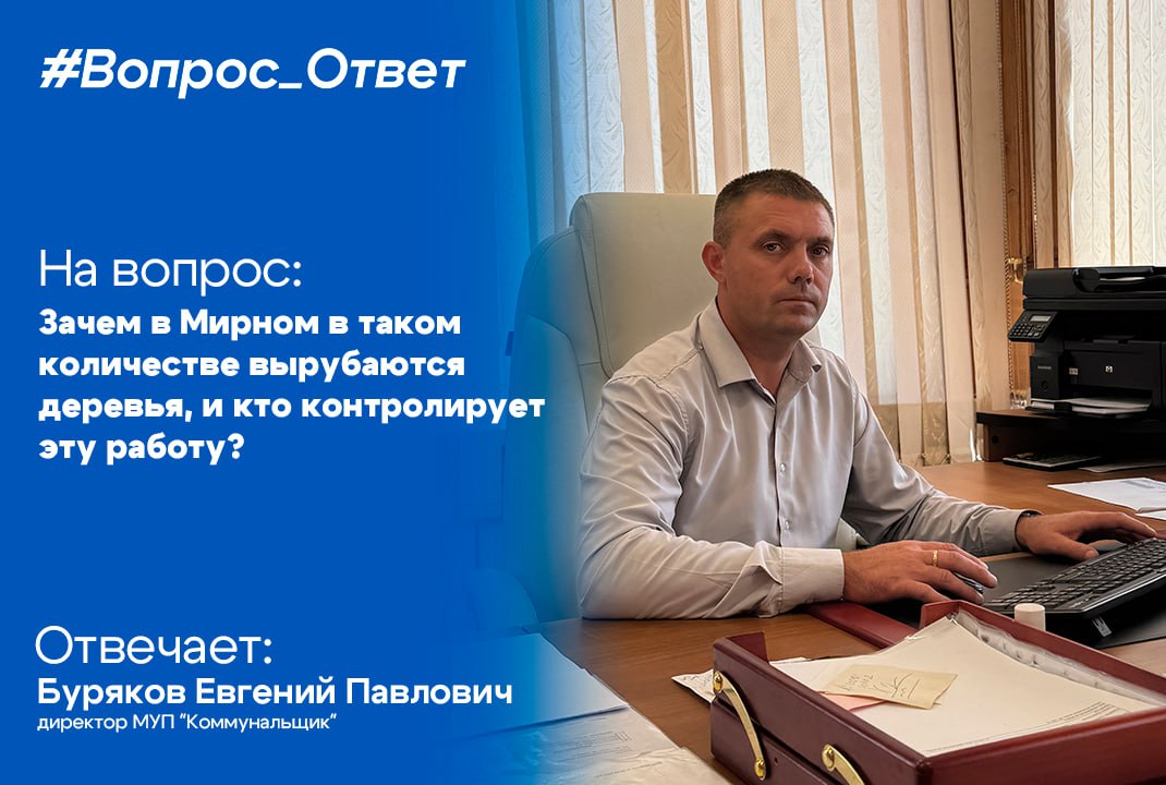 Горожане: "Почему в Мирном вырубаются деревья?"