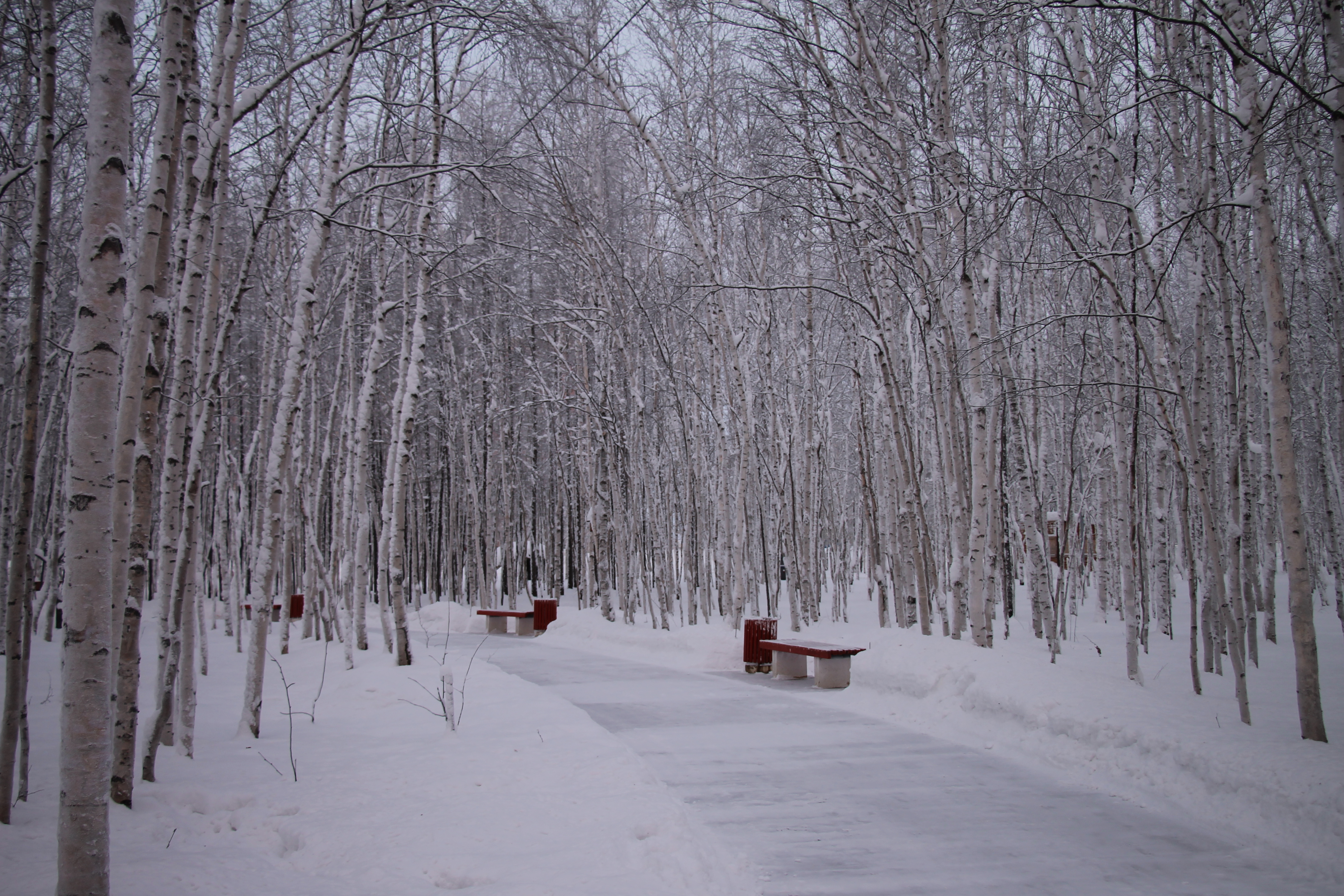 Просим не заходить за ограждения!