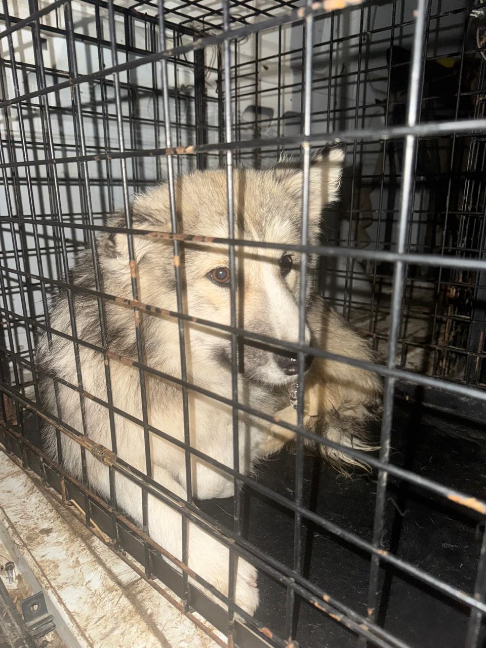 Тихонова 1 дробь 1