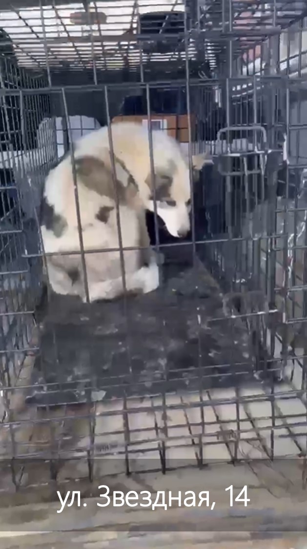 ул. Звездная