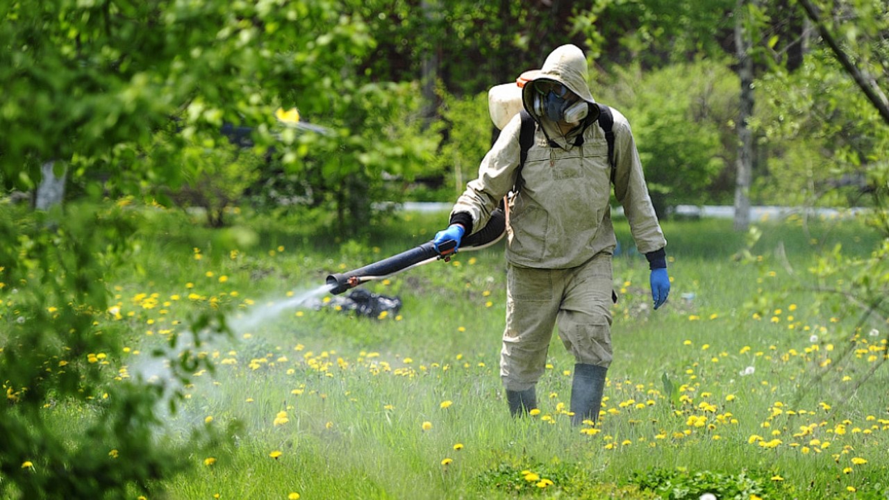 В Мирном приступают к обработке от клещей и комаров