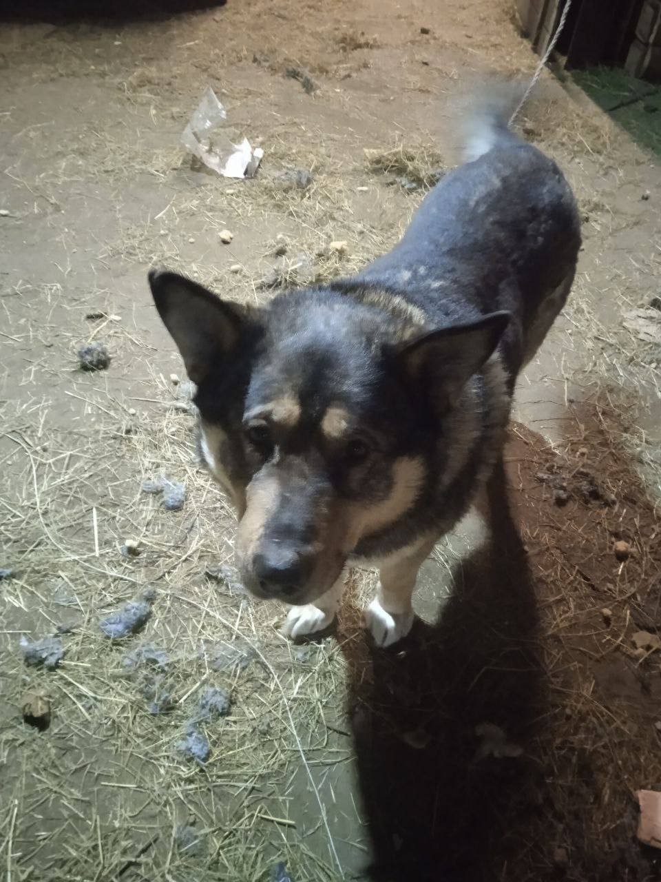 Ленинградский 5в