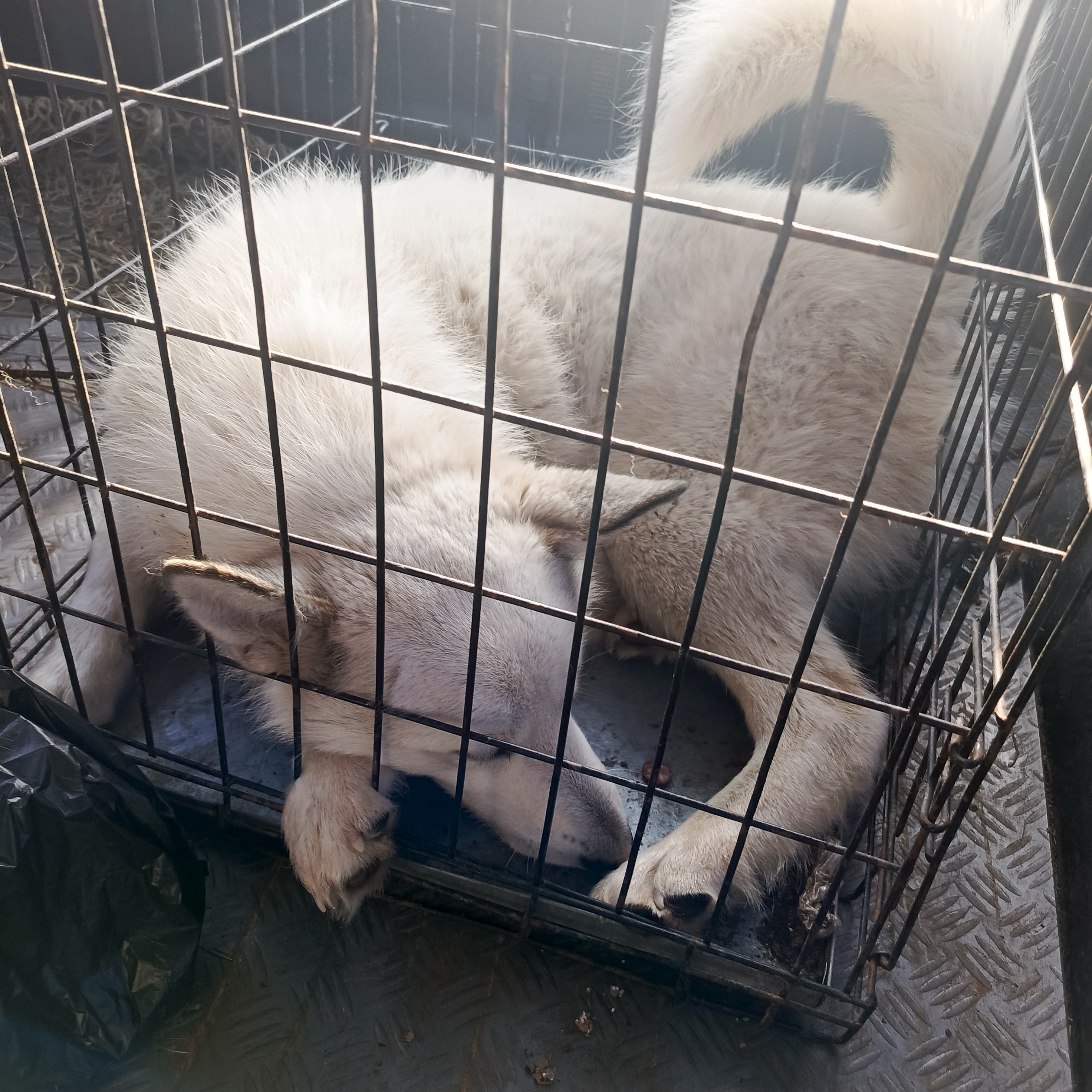 Ленинградский 20