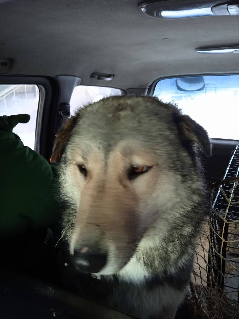 Тихонова 29 корп 1