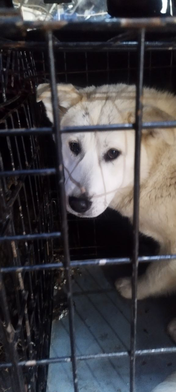 Аммосова, 34