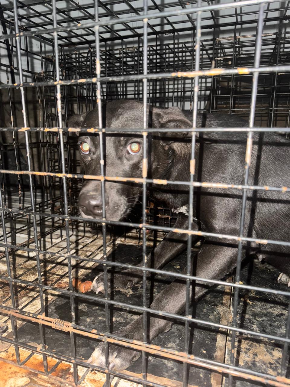 Вилюйское кольцо