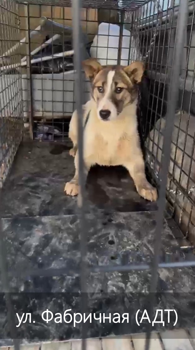 ул. Фабричнaя