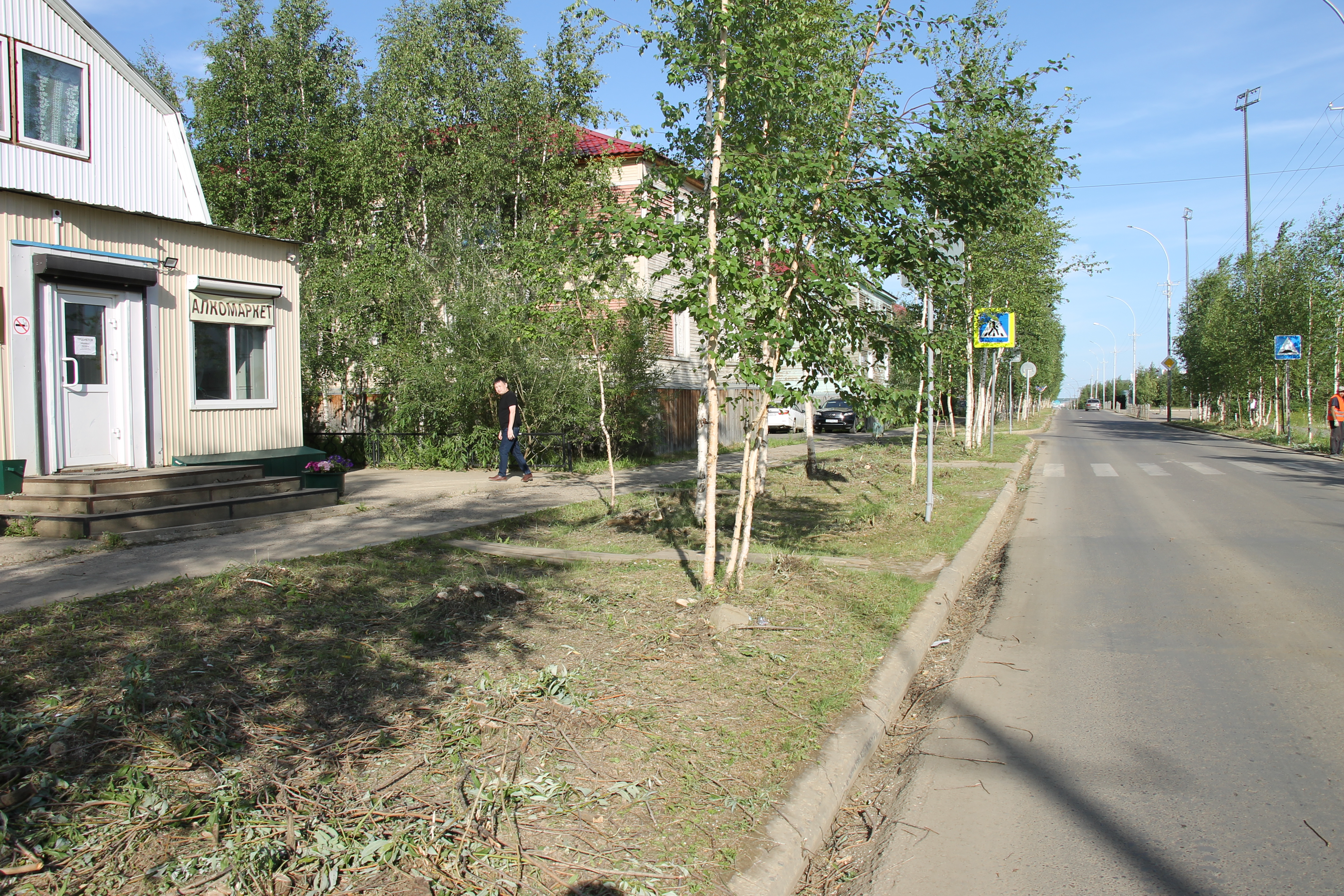 В Мирном ведётся очистка газонов от молодой поросли и ивы