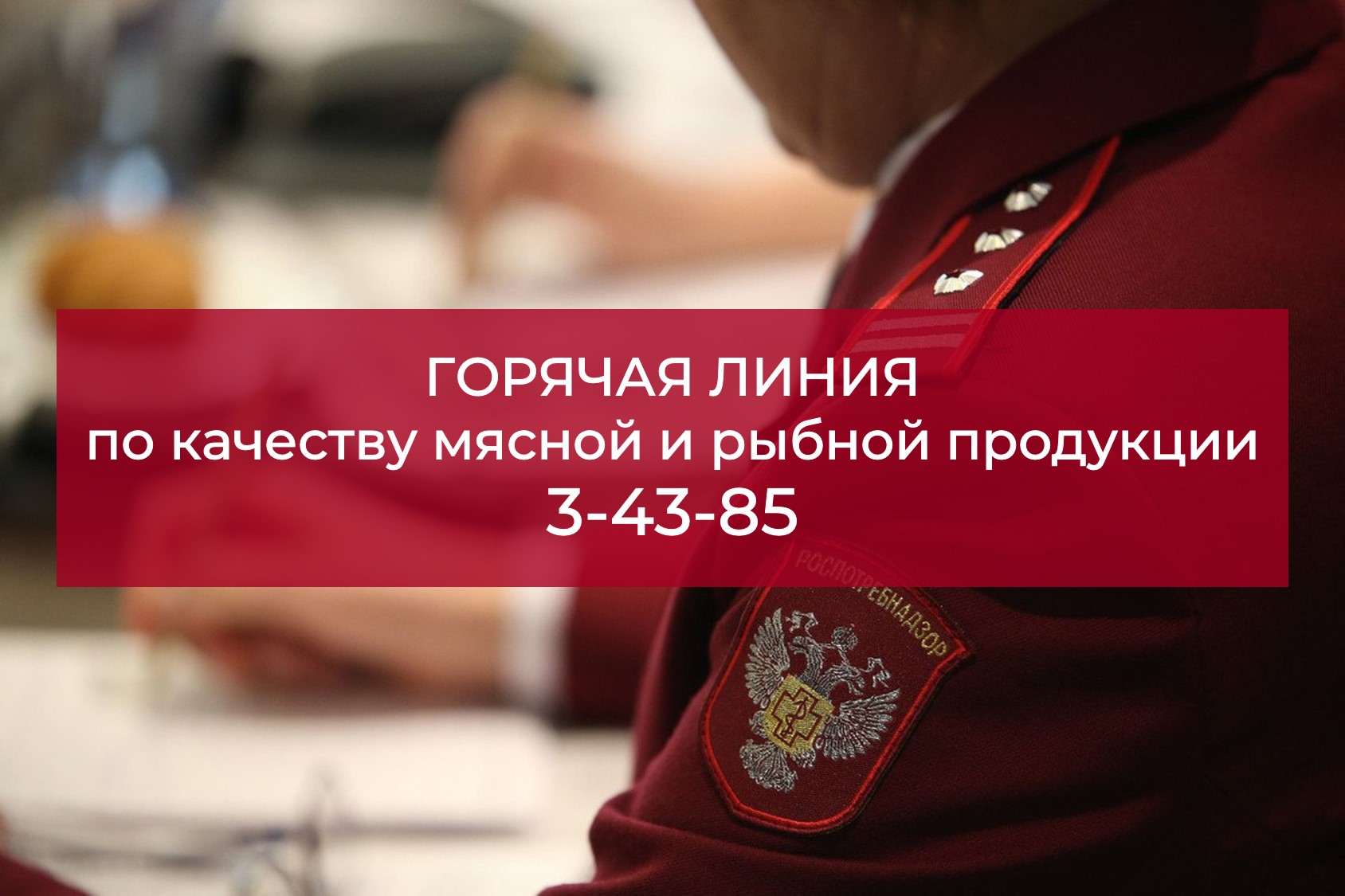О работе «горячей линии» о качестве и безопасности мясной и рыбной продукции и срокам годности