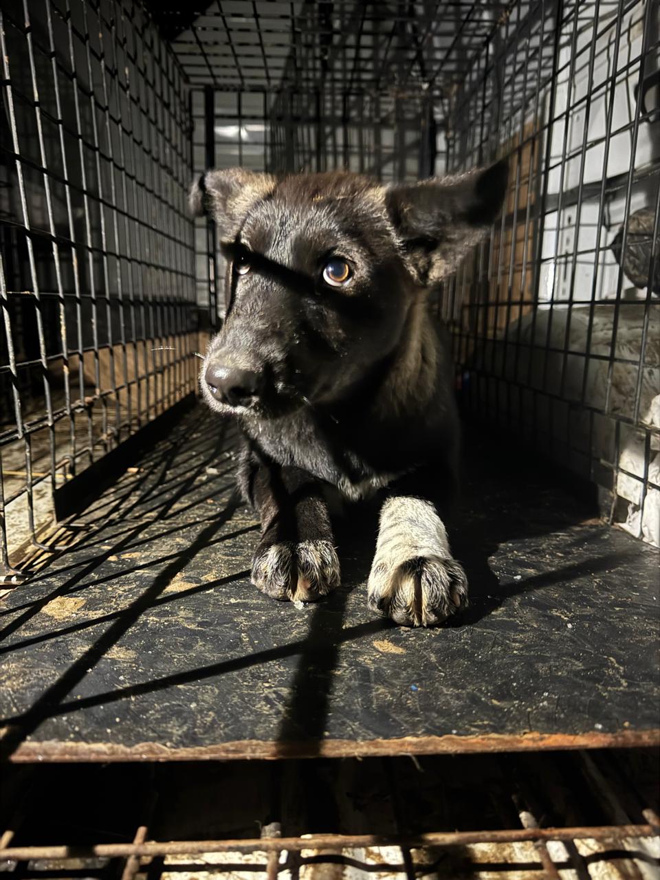 Teрритoрия МУAД