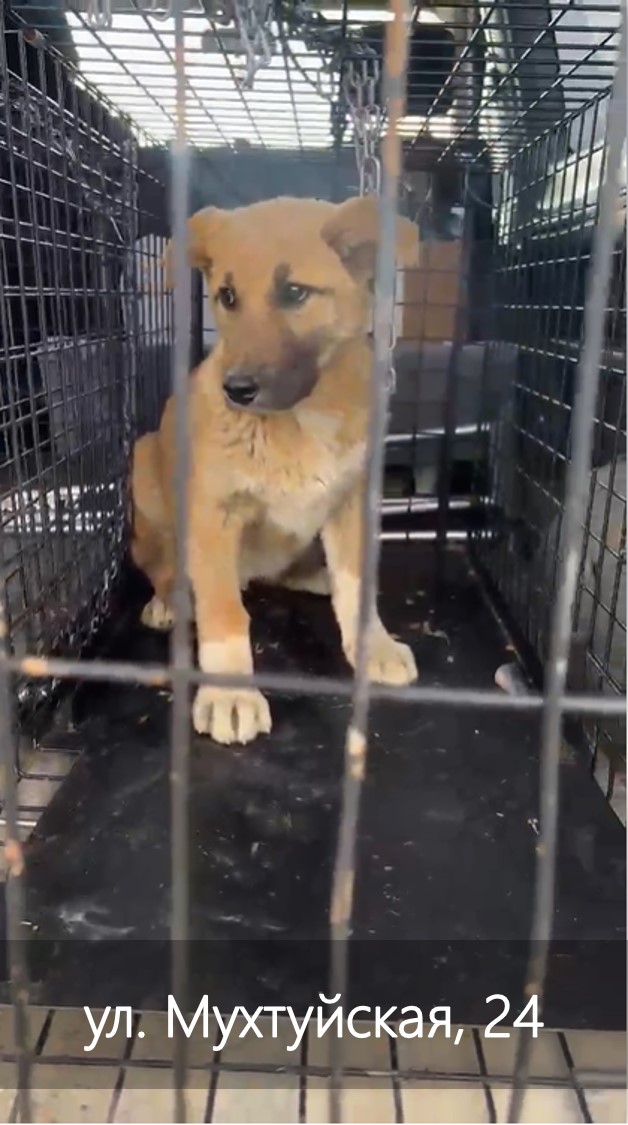 ул. Мухтуйская