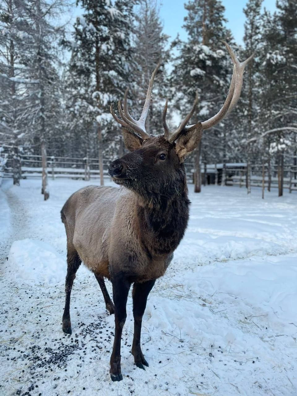 Хотите улучшить парк "Живые алмазы Якутии"? Выиграйте грант до 1 млн рублей!