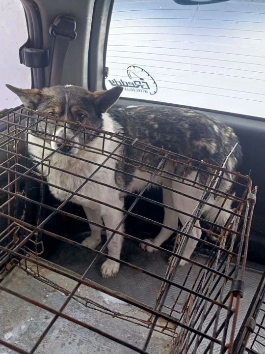 Ойунского 28