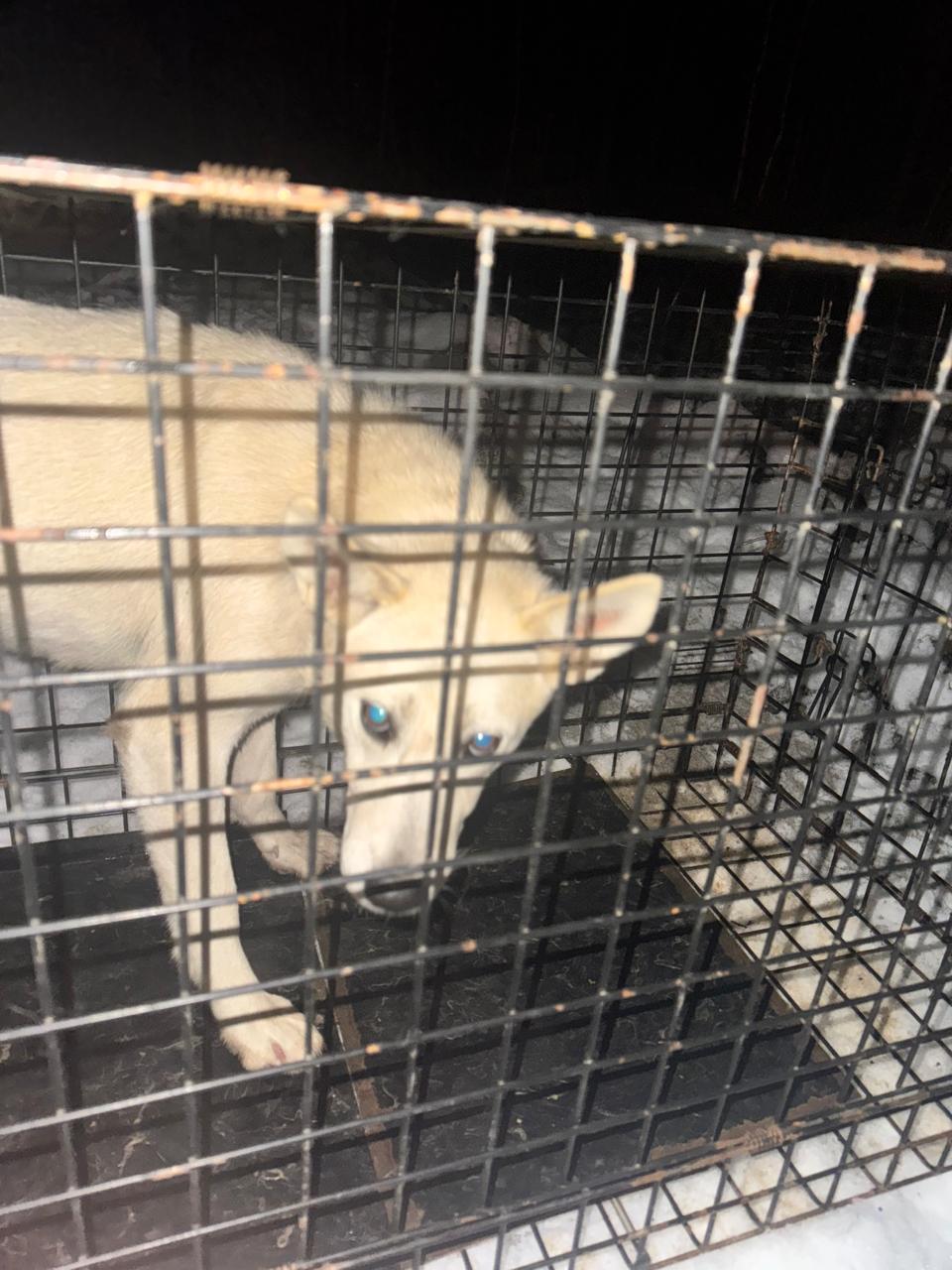 Teрритoрия МУAД