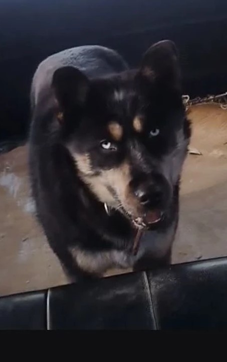 поселок Газовиков