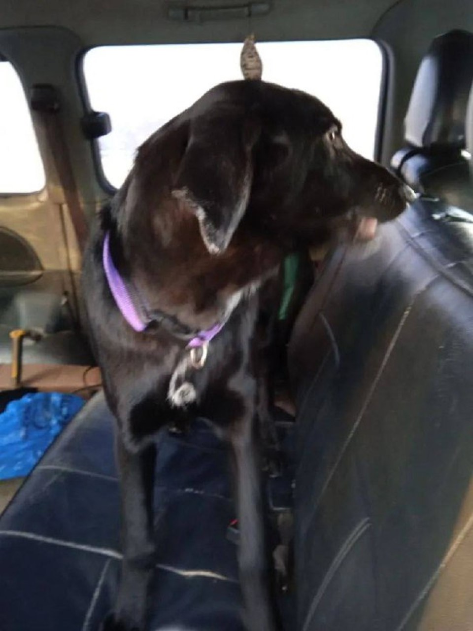 Лeнинградский 5в