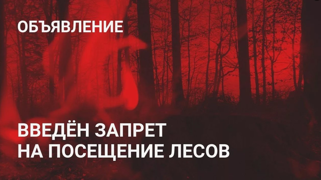 Внимание: посещение леса под запретом!