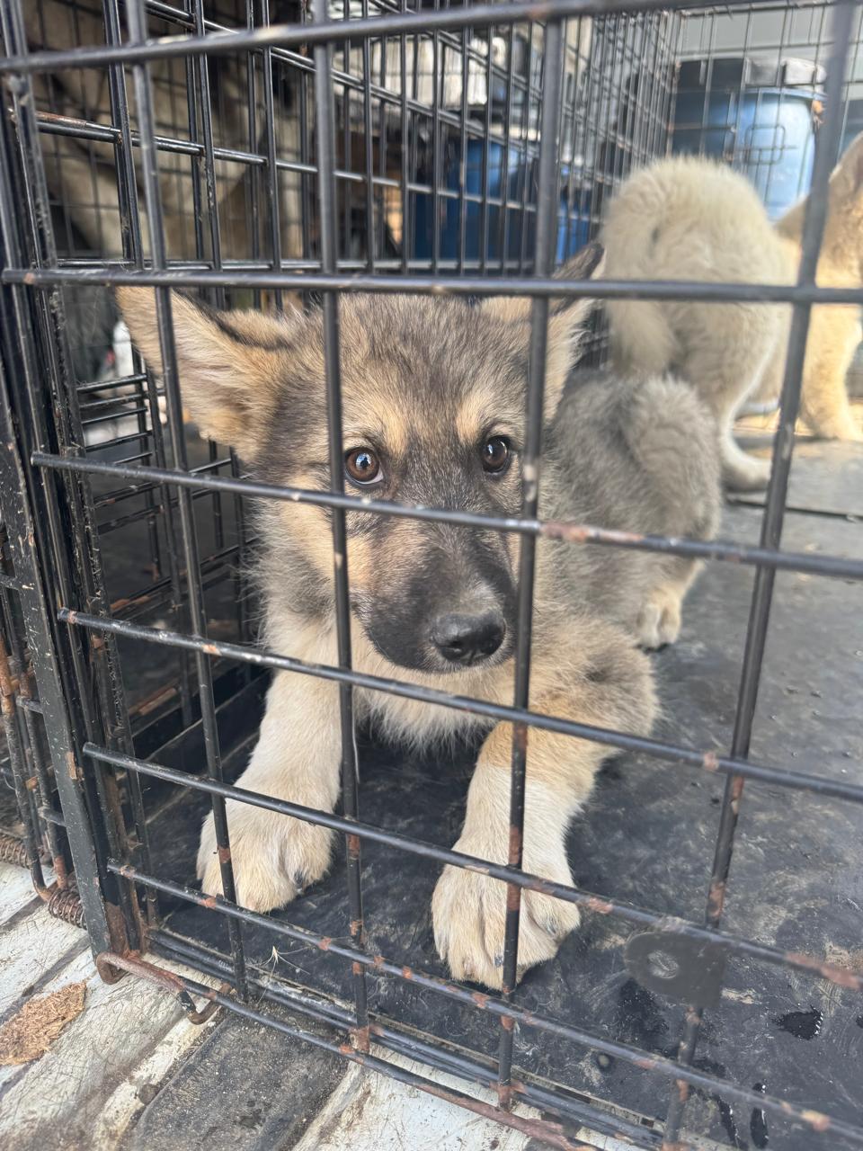 нoвый Аэропорт