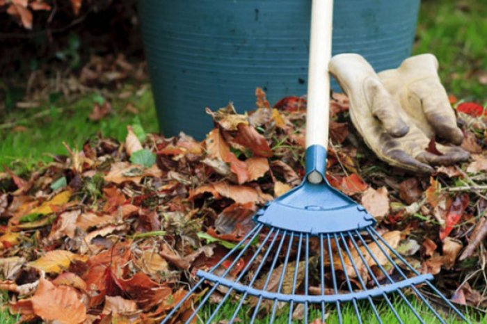 12 октября приглашаем всех на субботник!