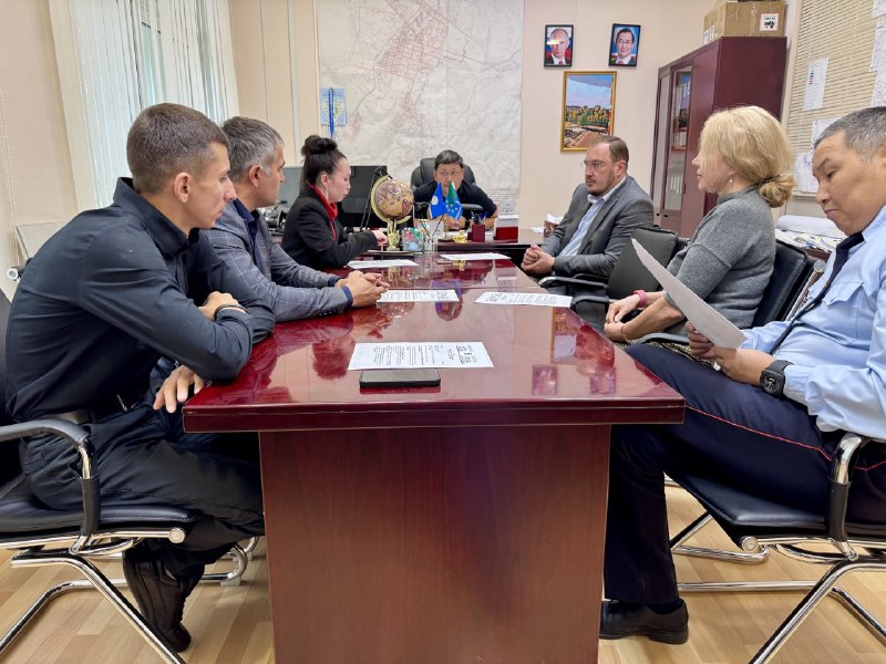 Проблема безнадзорных животных: на еженедельном контроле городских властей