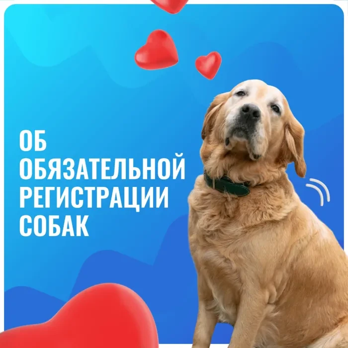 Забота о животном начинается с его регистрации