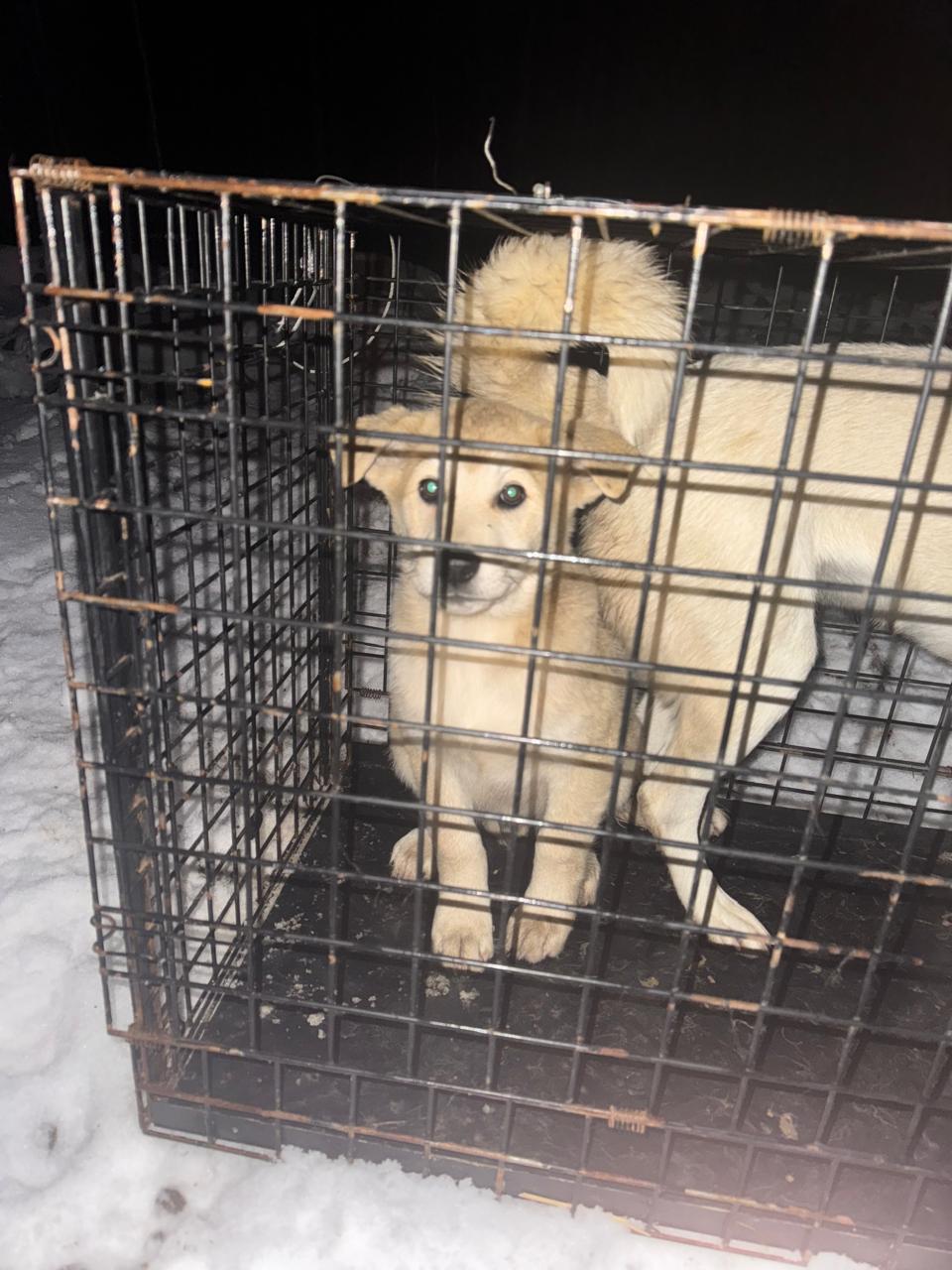 Teрритoрия МУAД