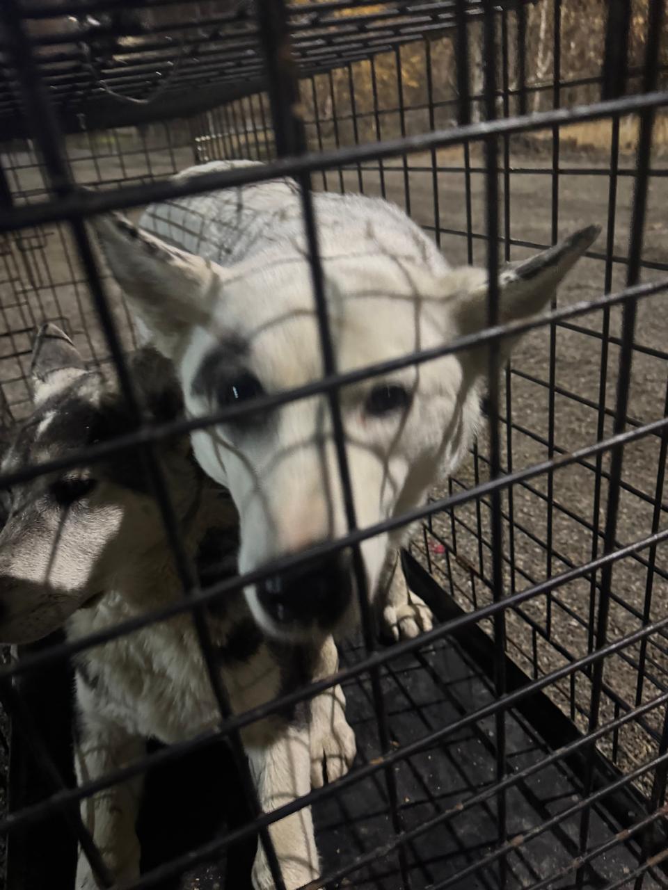 пpосп. Ленингpадский 5В