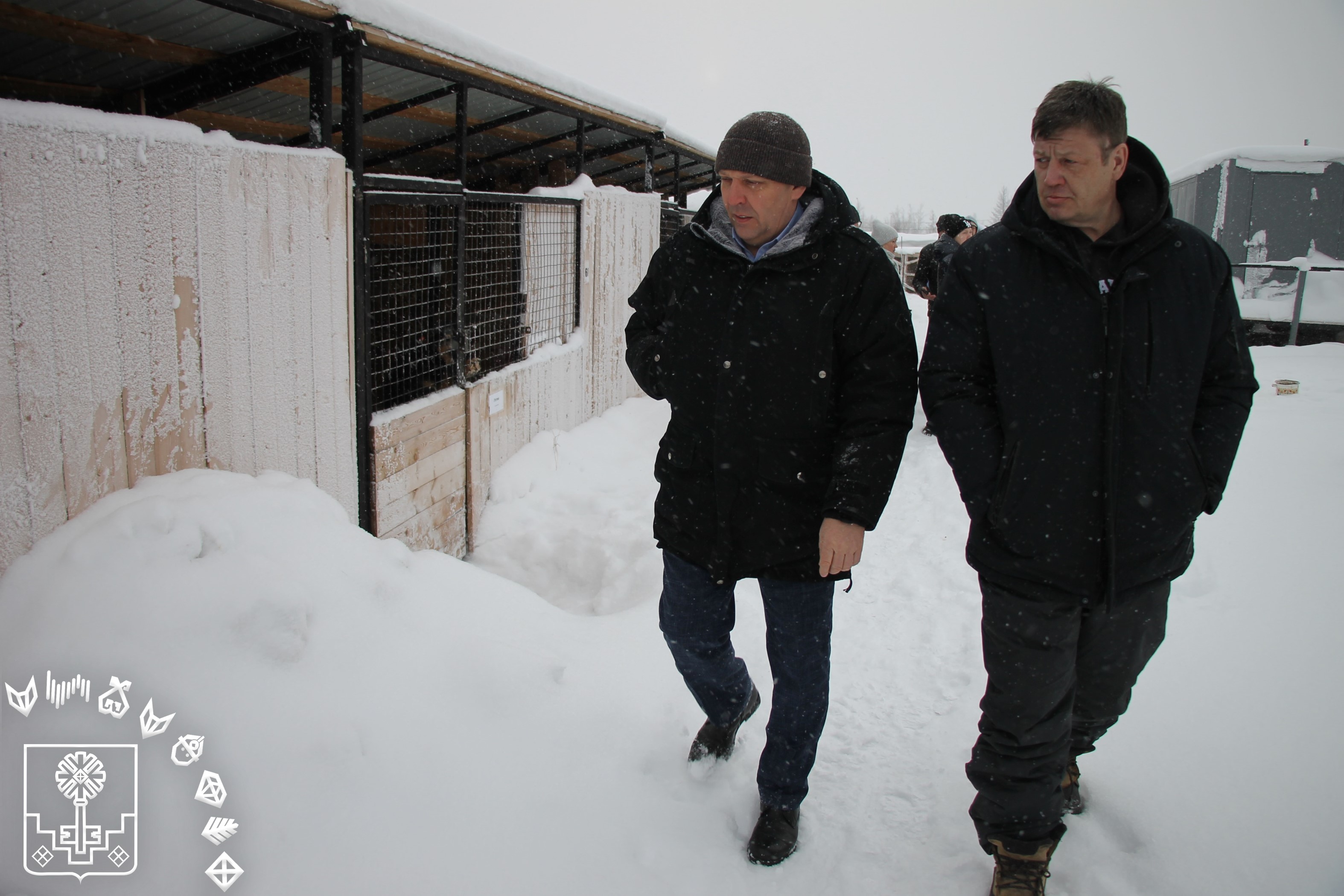 Содержание собак – на ежемесячном контроле 