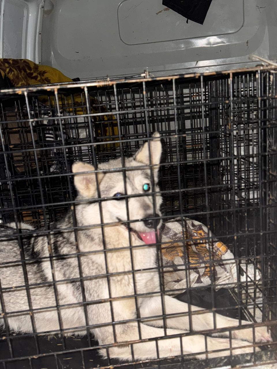 ул. Тихонова 9