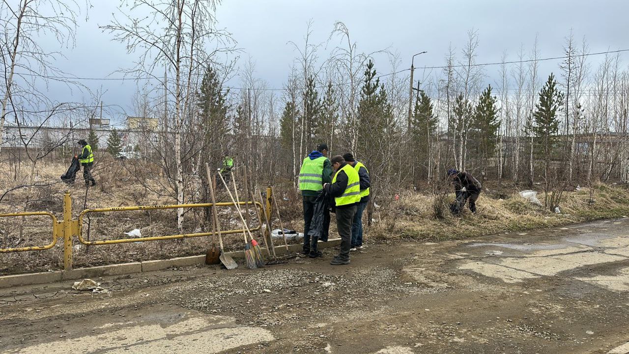 Итоги работы "Экологического десанта" в 2023 году