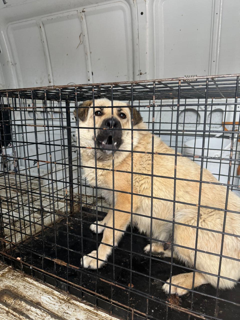 ул. Мухтуйская 32 Б