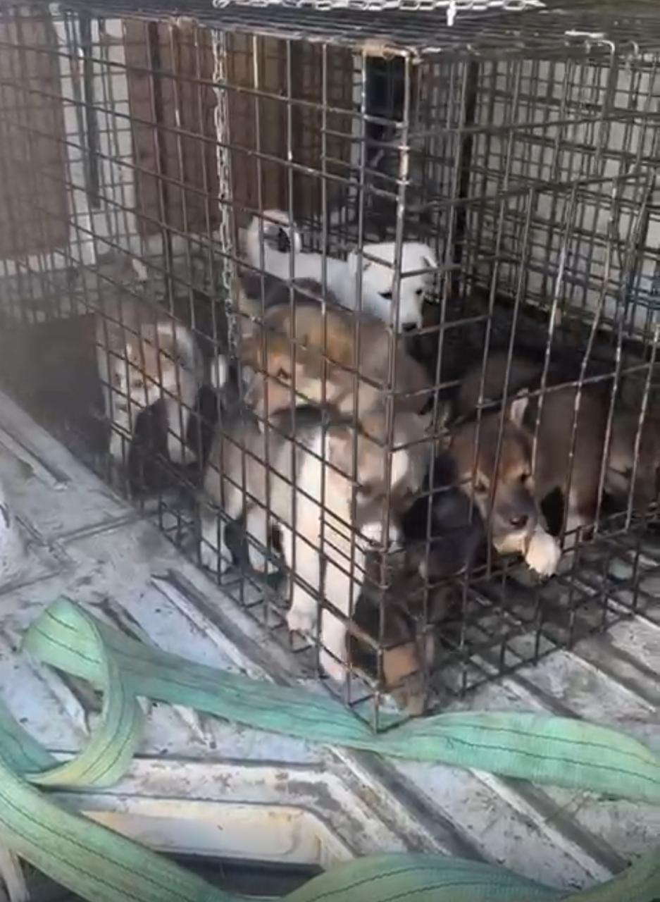 Вилюйская 7