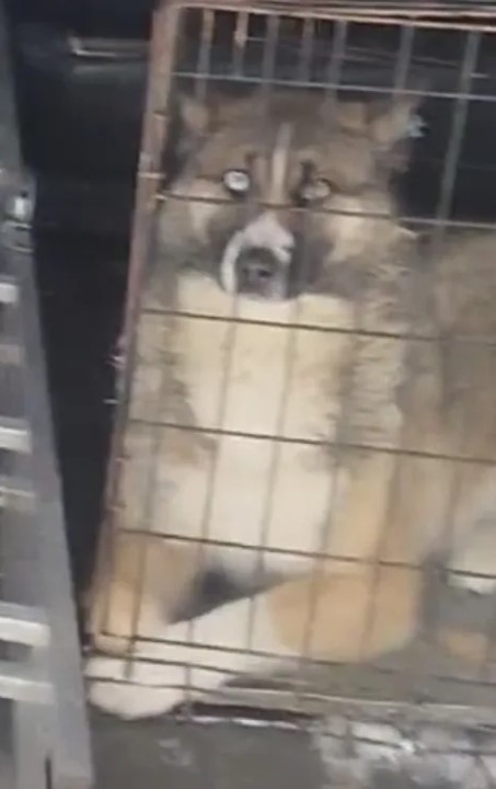 ул. Аммосова