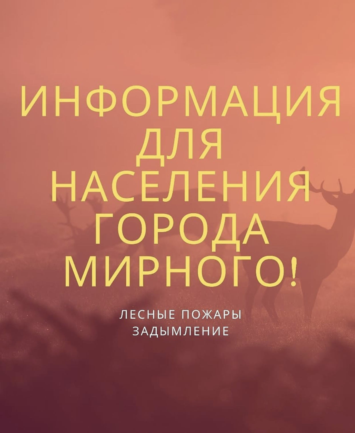 Оперативная обстановка в лесах Мирнинского района на 5 августа