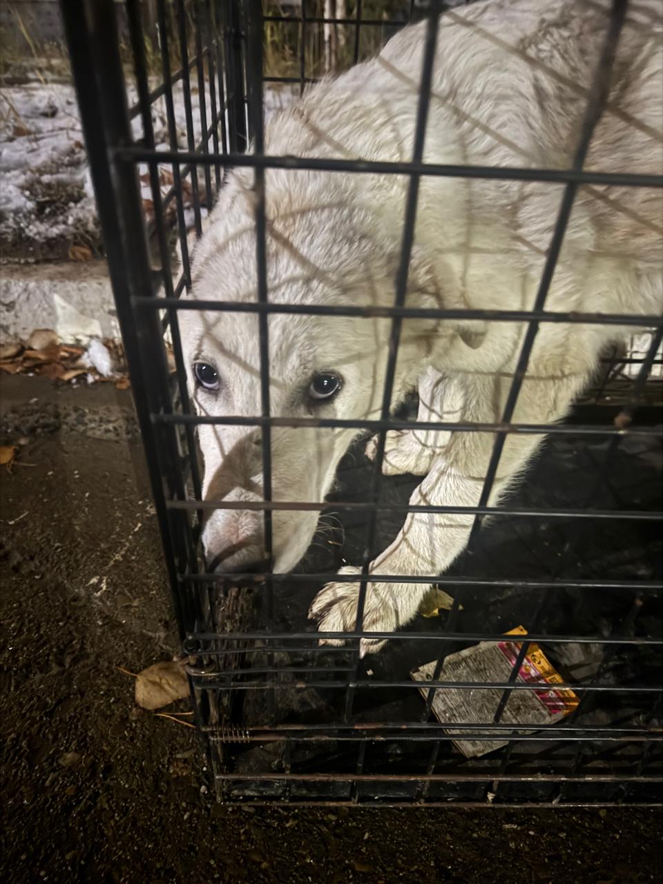 Teрритoрия МУAД