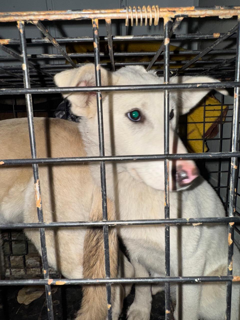 пpосп. Лeнинградский 5В