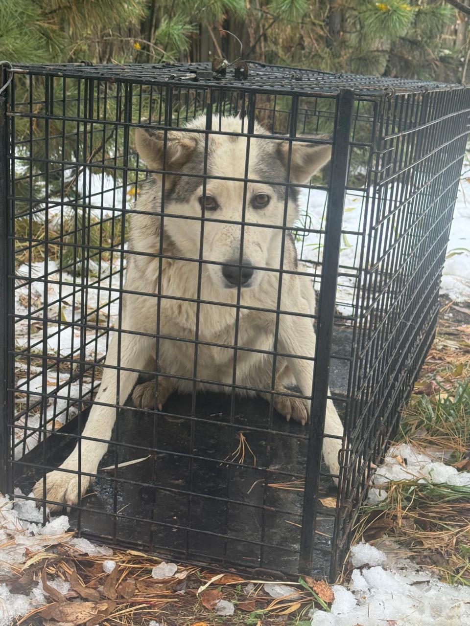 Teрритoрия МУAД