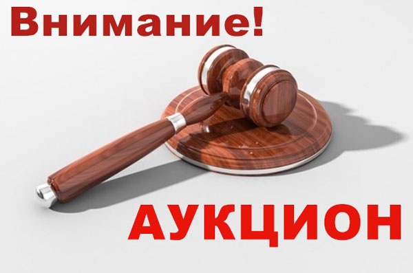 Итоги аукциона!