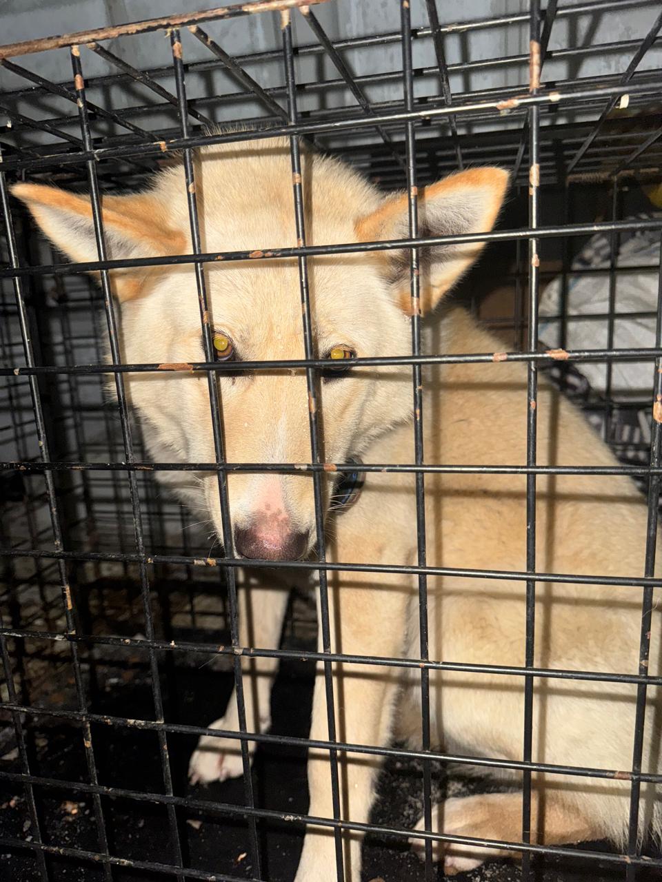 ул. Амакинская 2 дробь 4