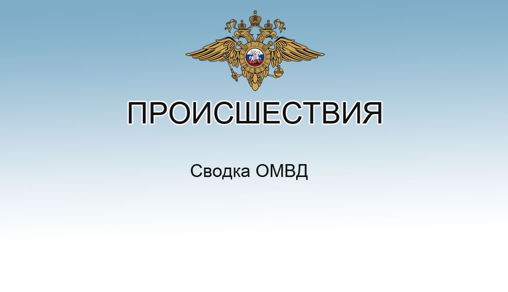 Сводка ОМВД с 6 по 12 апреля.