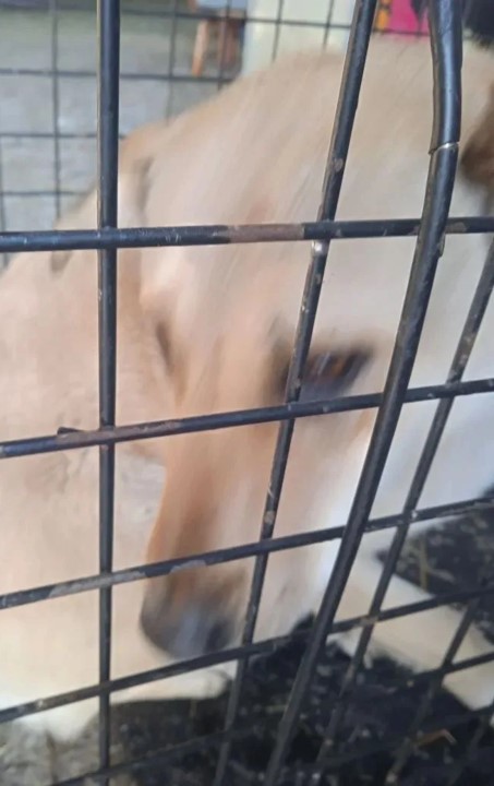 ул. Звeзднaя