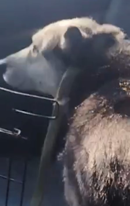 ул. Звeзднaя