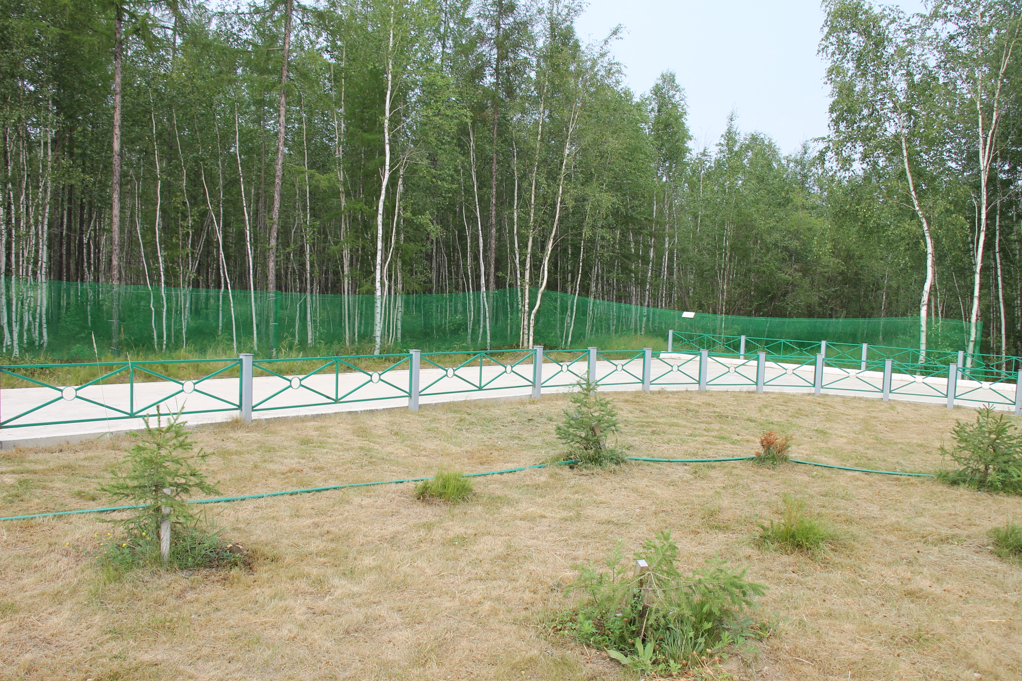 В парке началось благоустройство