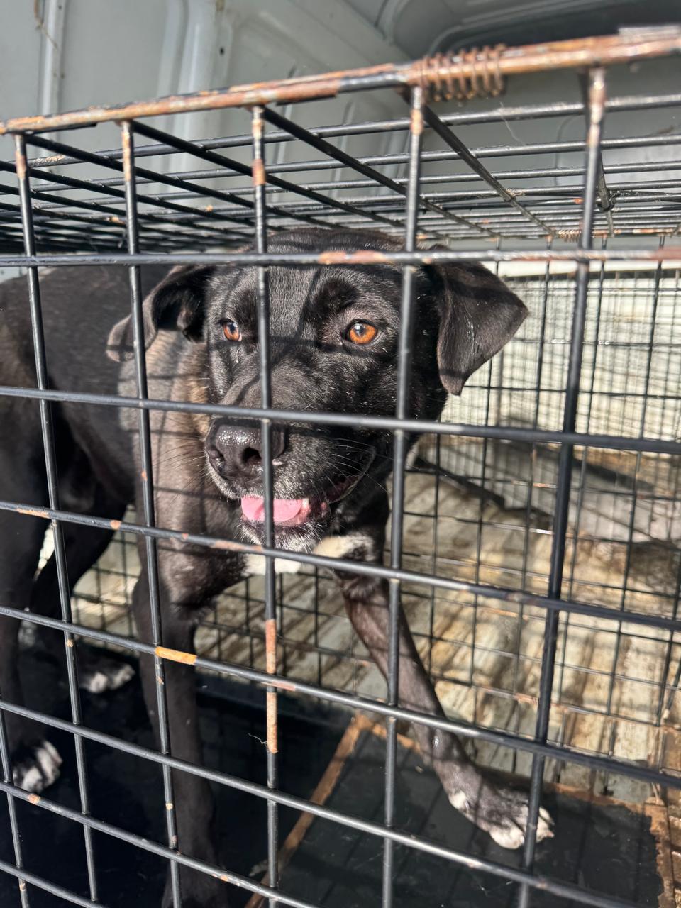 ул. Мухтуйскaя 32 Б