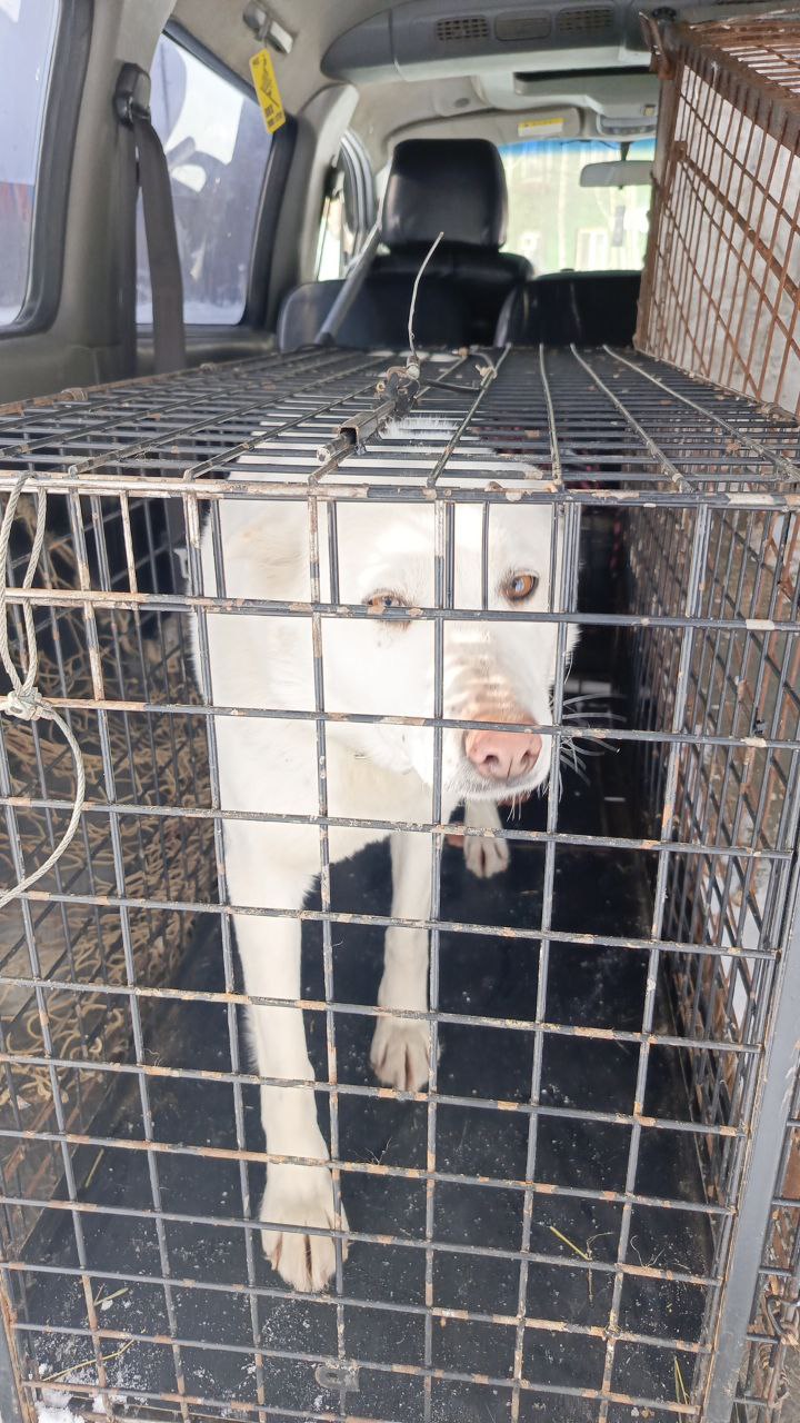 16.03 Ленинградский 23