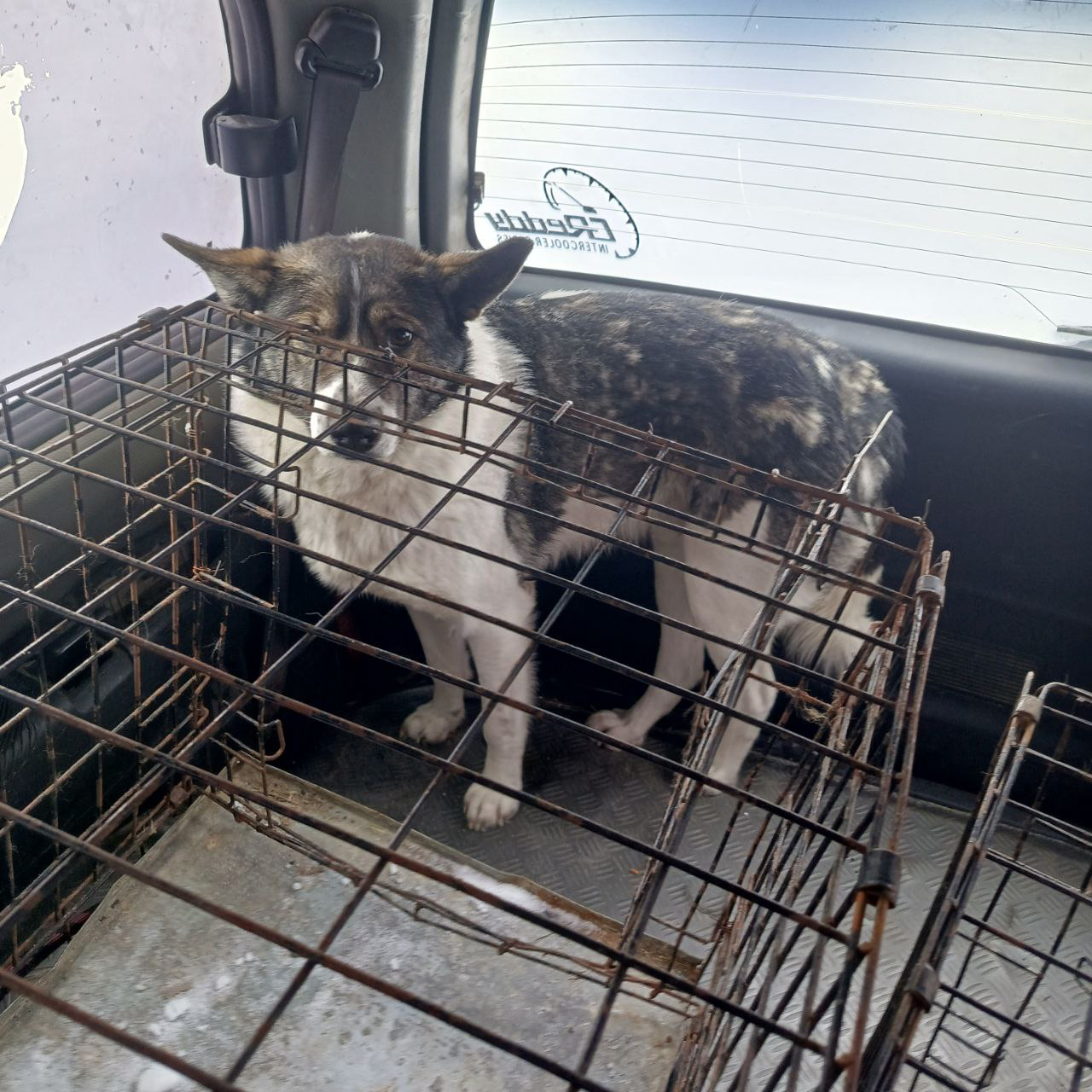 Ойунского, 28