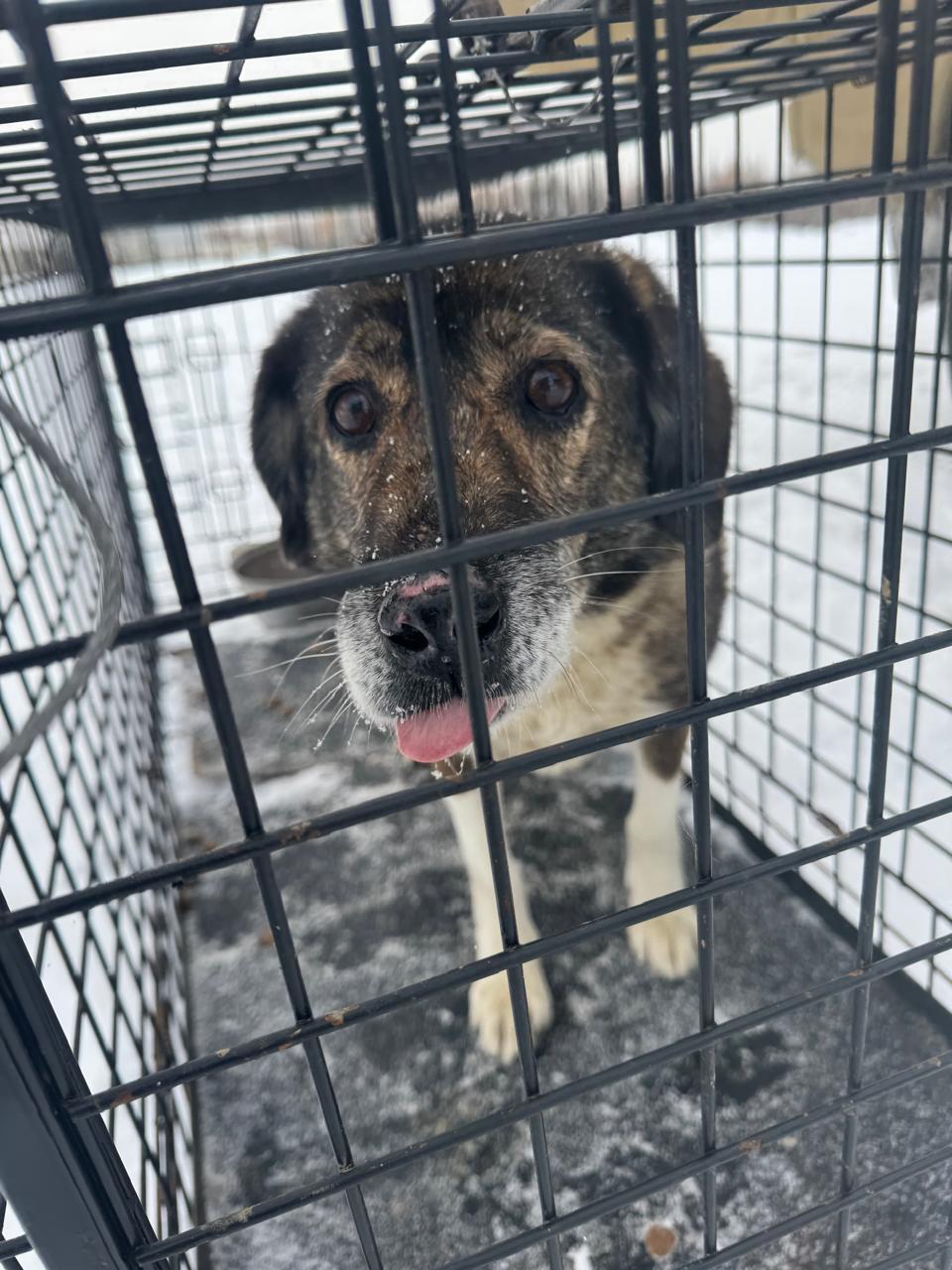 пос. Ромашовка (база МАТП)