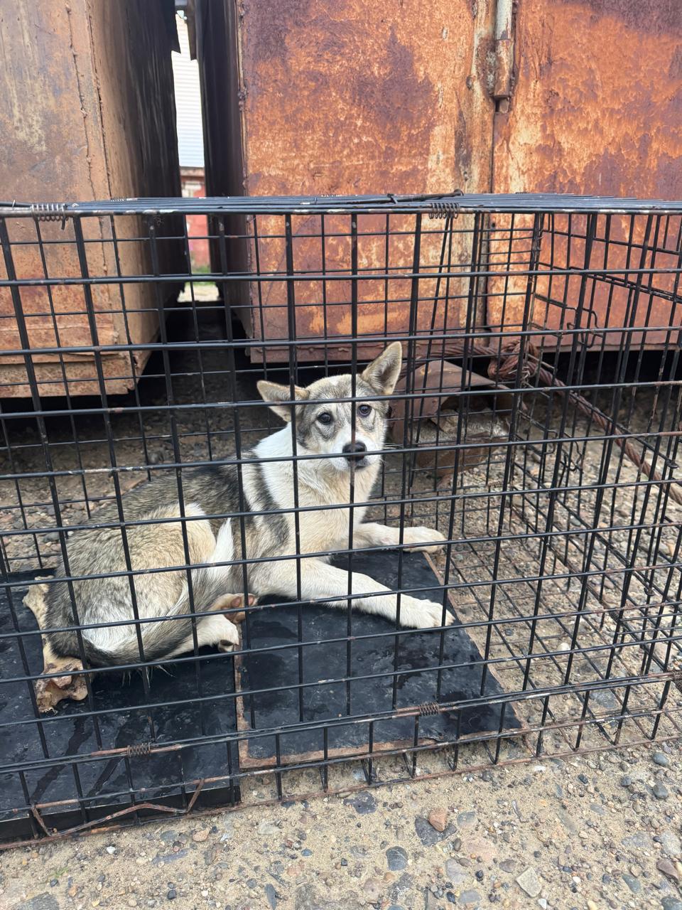 50 лет Октября 48